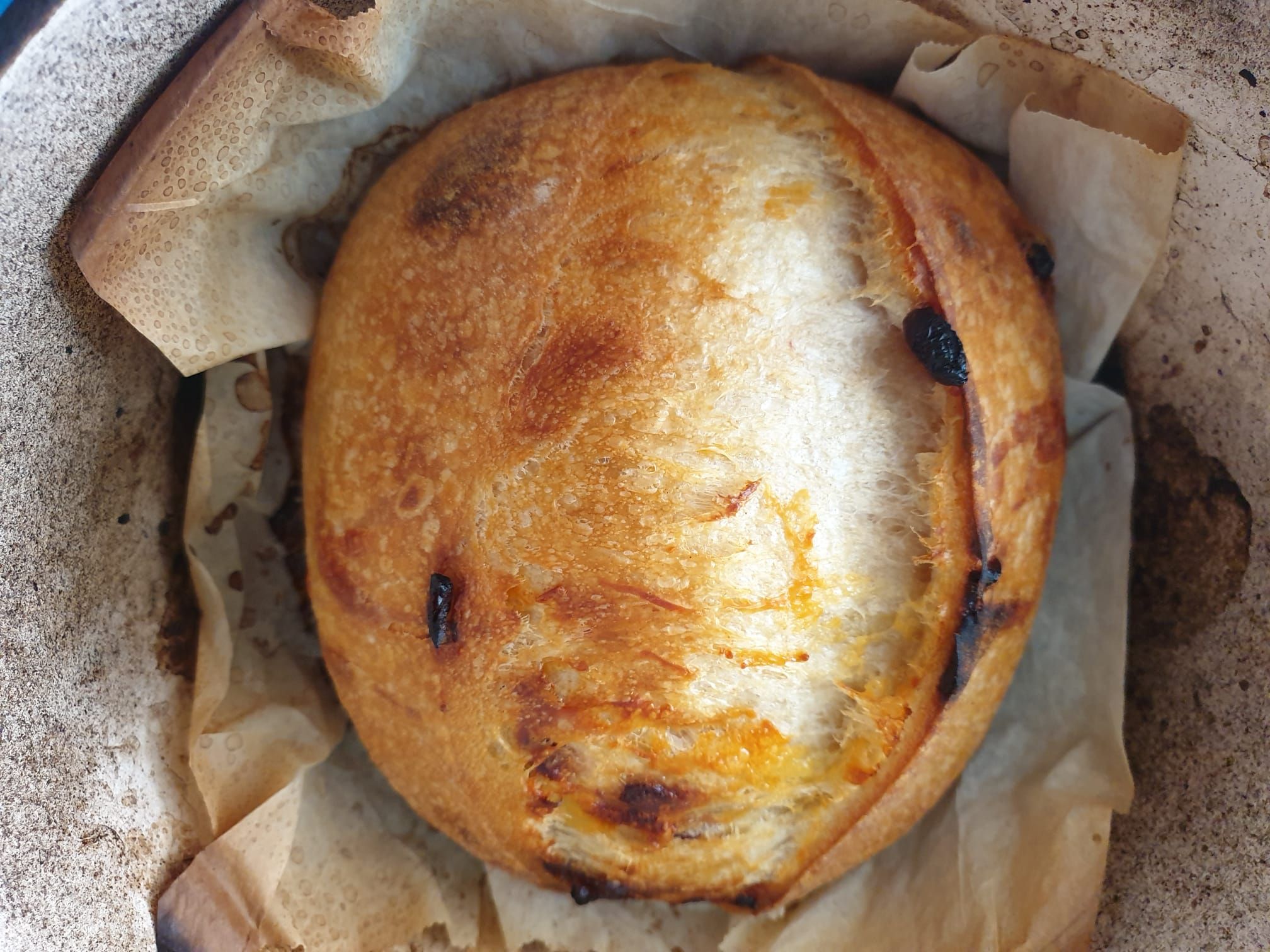 Cranberries & Cheddar Sourdough_0