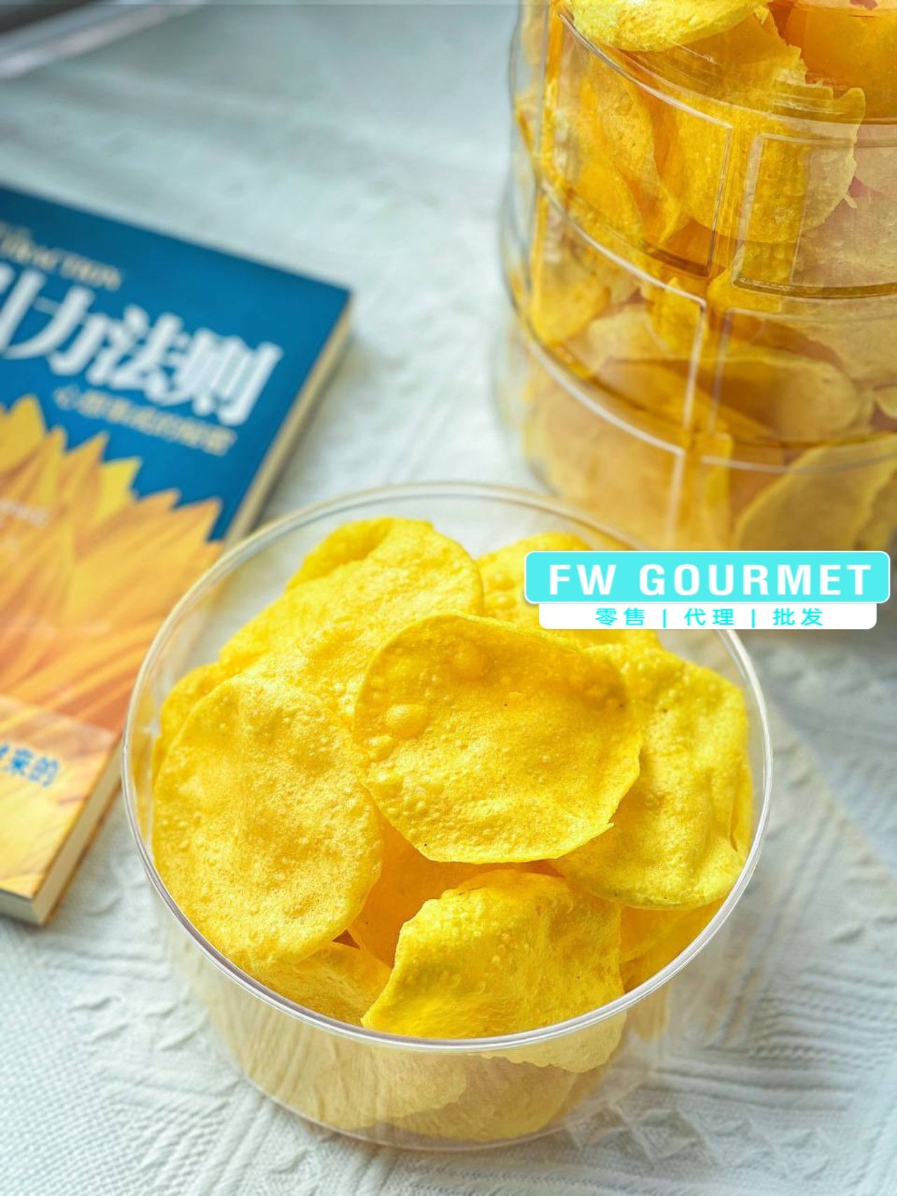Jackfruit Chips 菠萝蜜脆饼_1