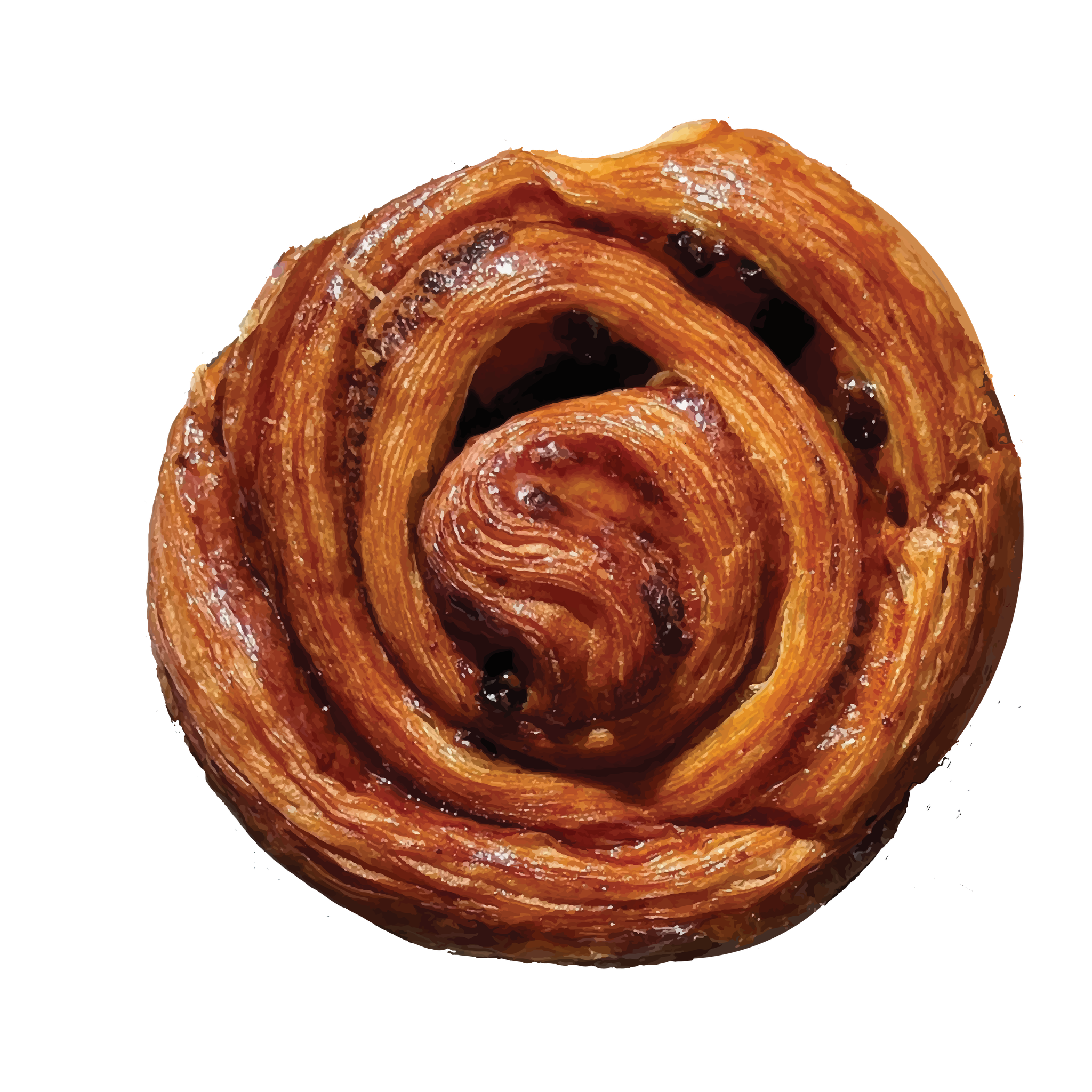 Raisin swirl (ala-carte)_0