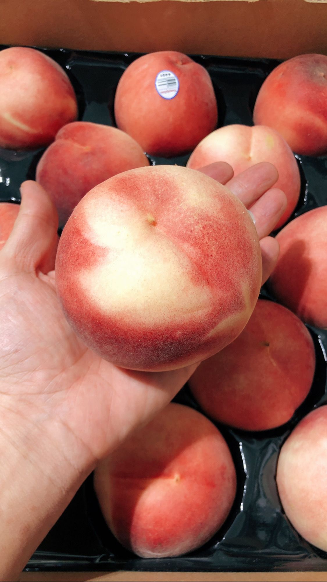 USA White Peach _1