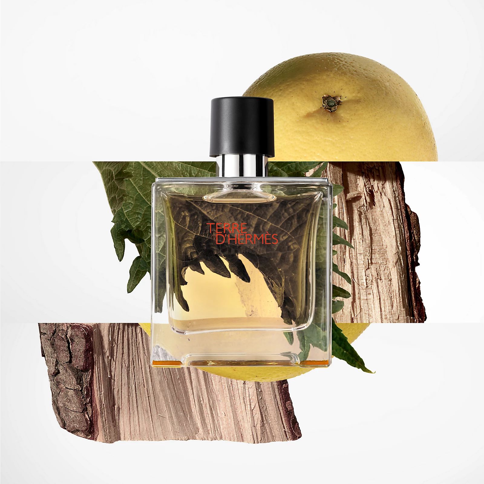 Terre D'Hermès_1