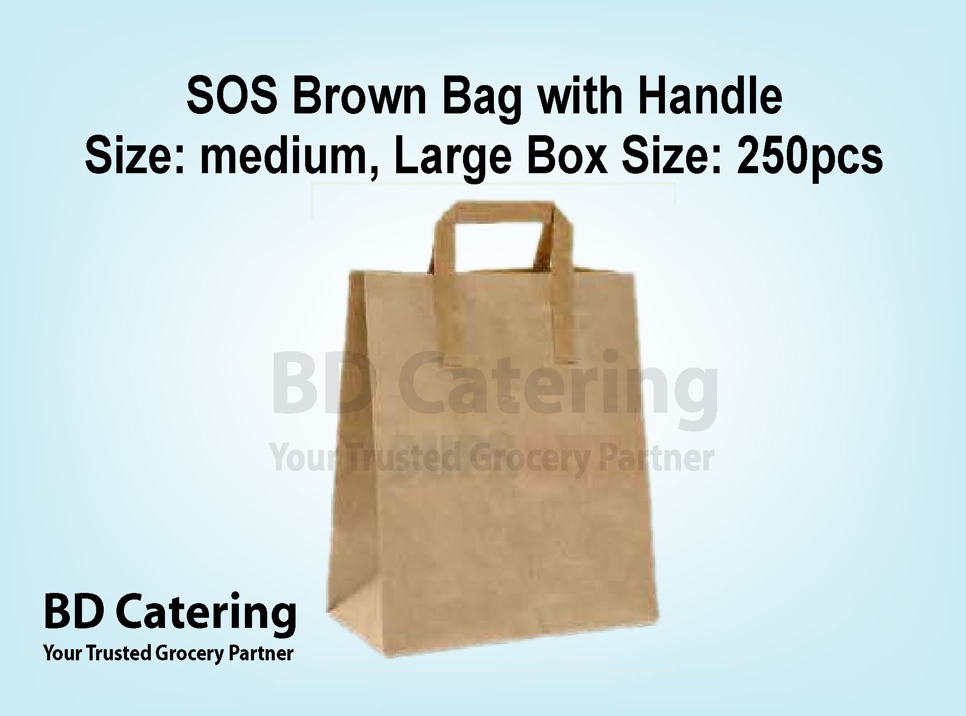 SOS Brown Bag with Handle Size_0