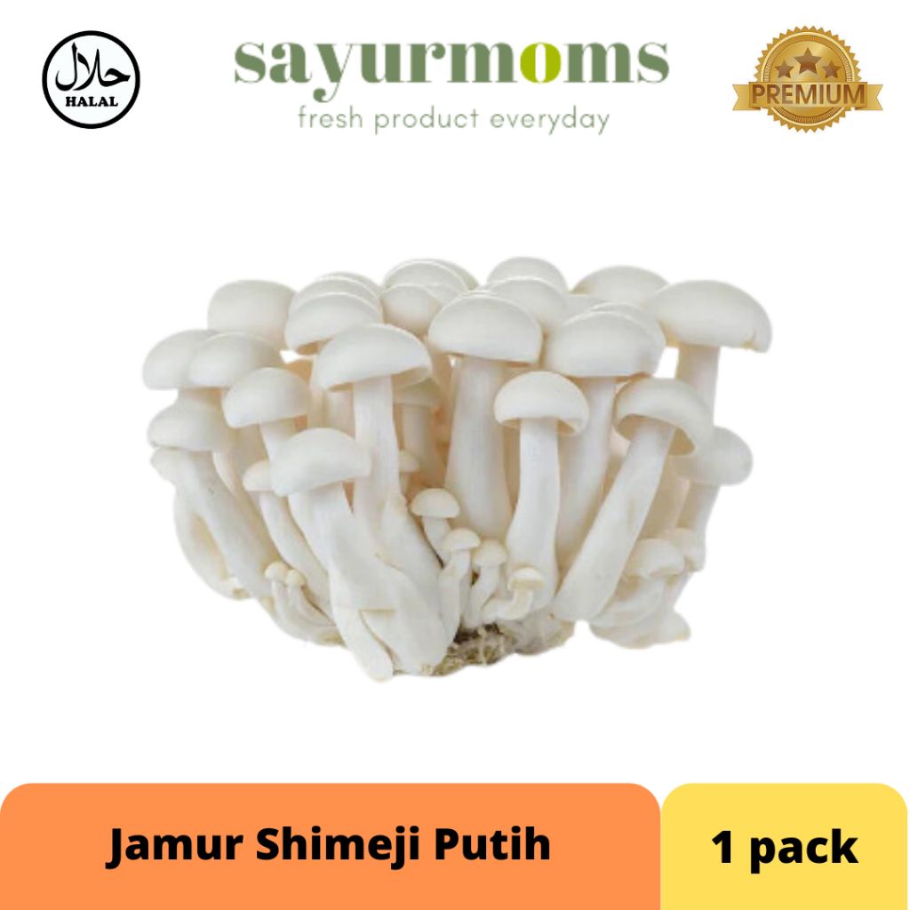 Jamur Shimeji putih 1 pack_0