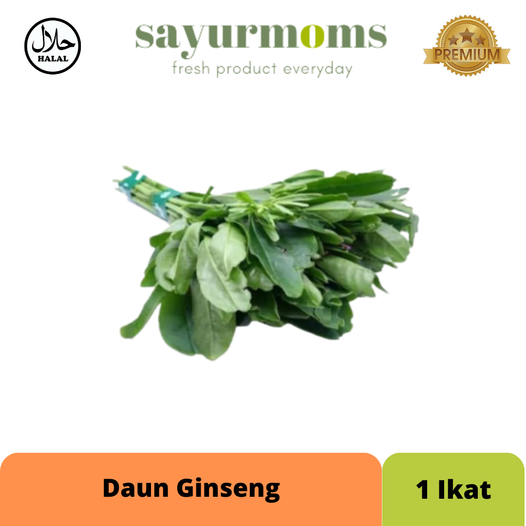 Daun Gingseng 1 ikat_0