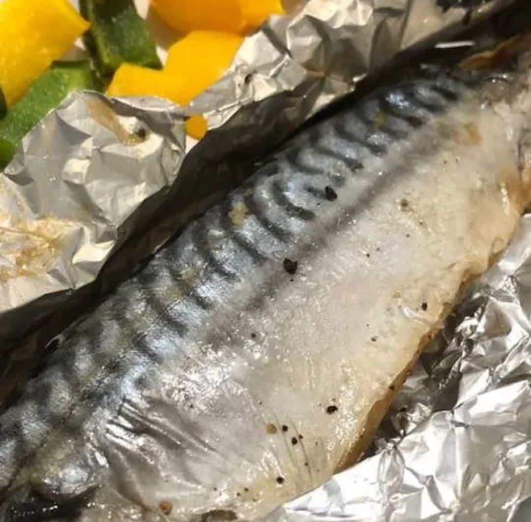 Saba Mackerel_1