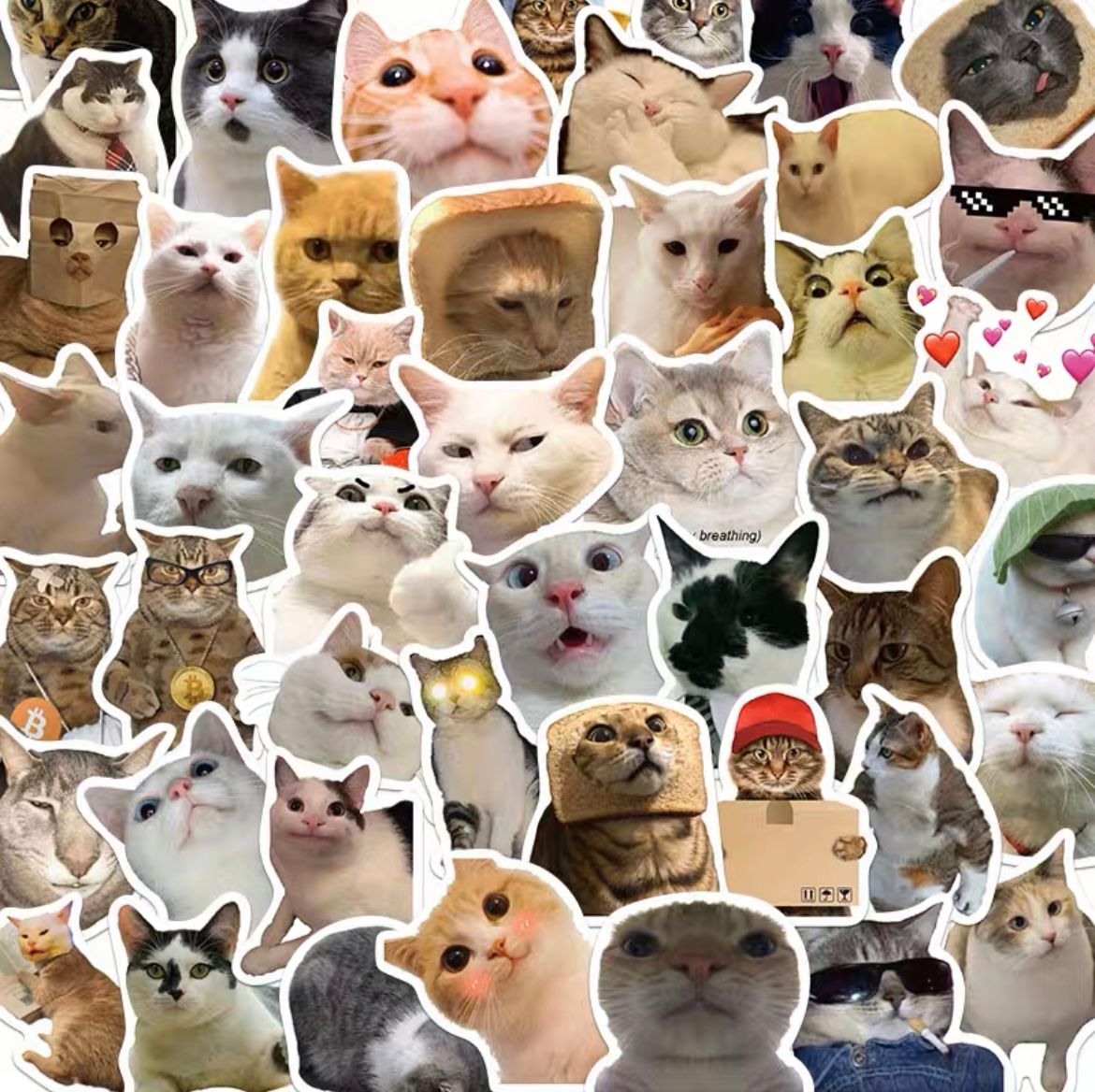 Meme cat stickers_0