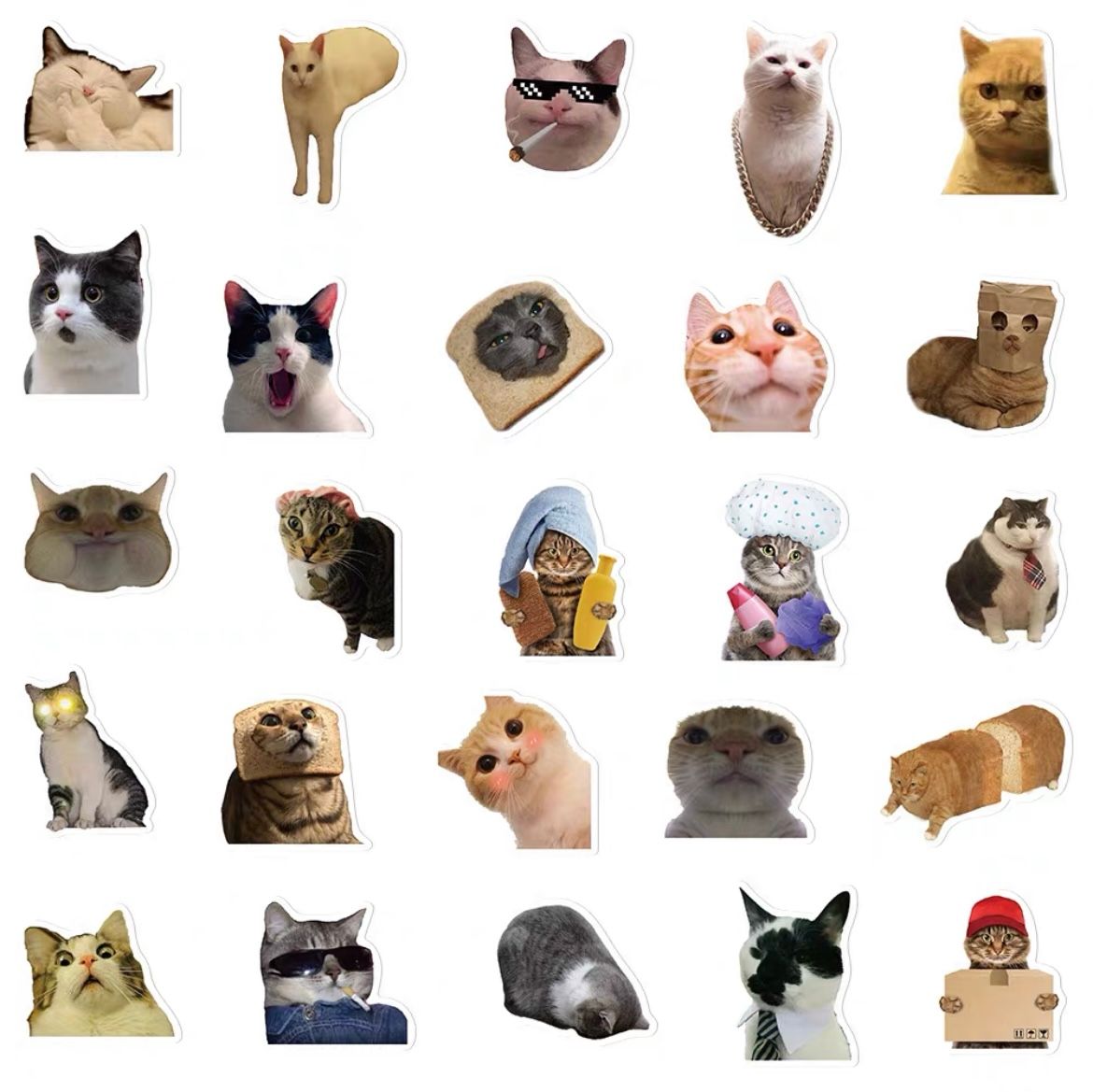 Meme cat stickers_2