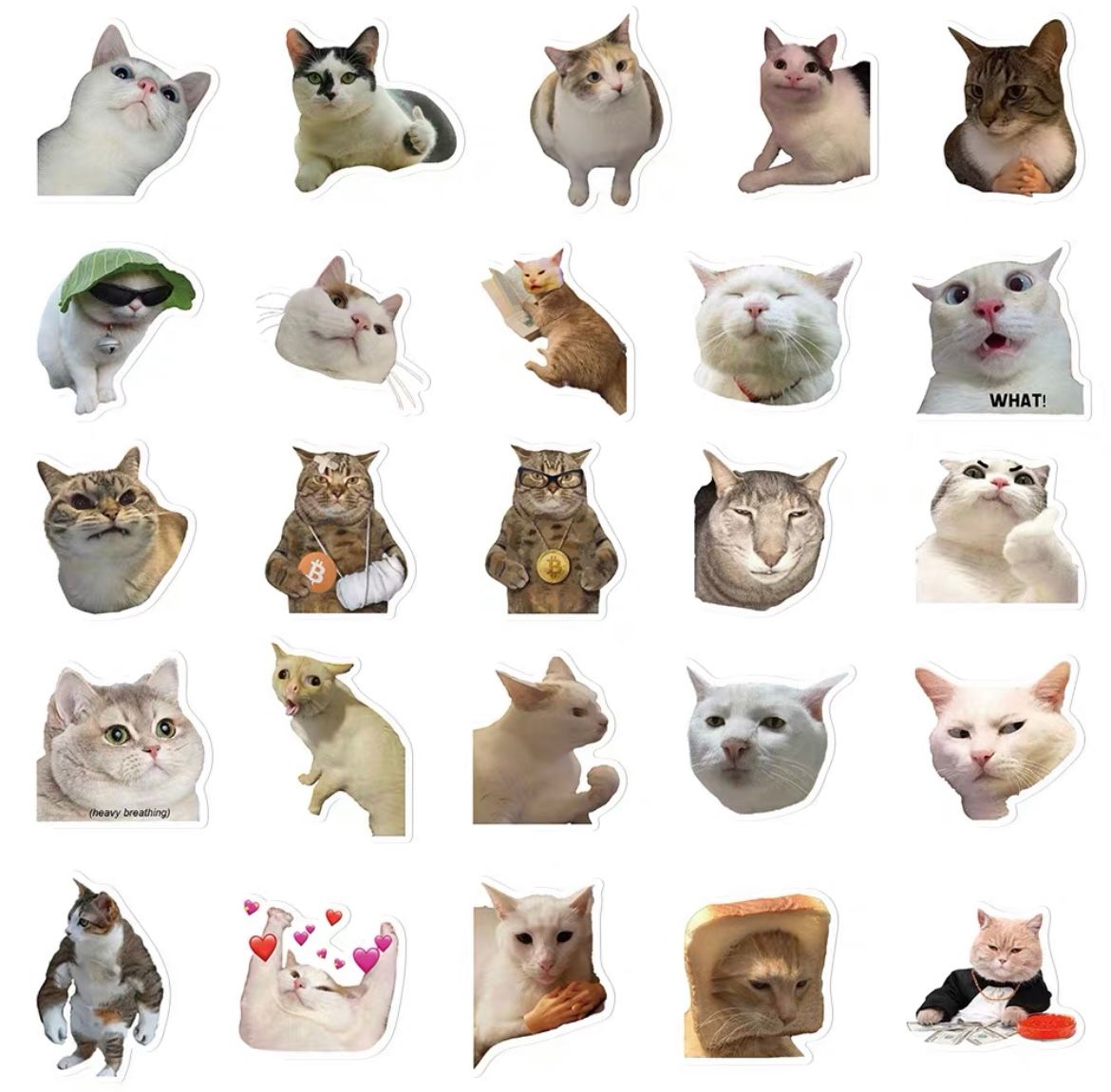 Meme cat stickers_1