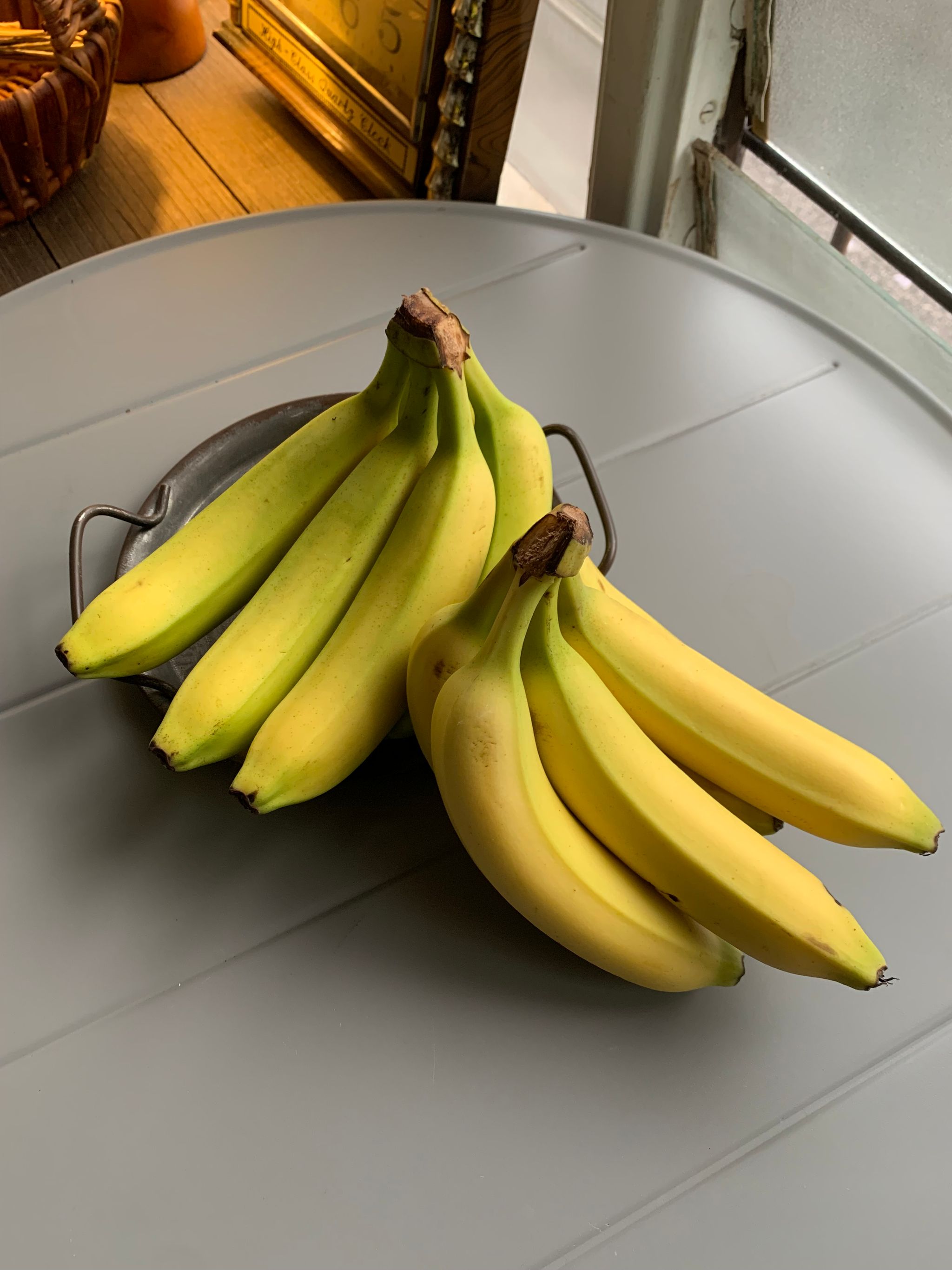 Banana Canvendish_0