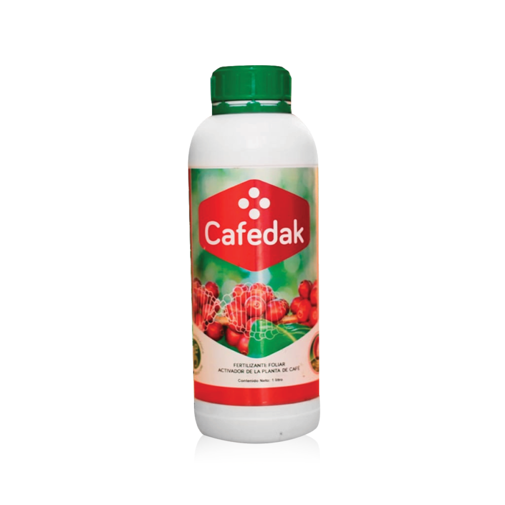Cafedak_1
