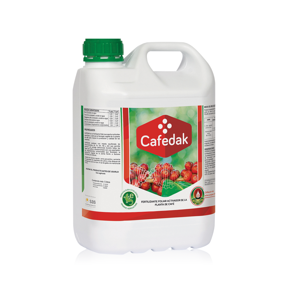 Cafedak_2