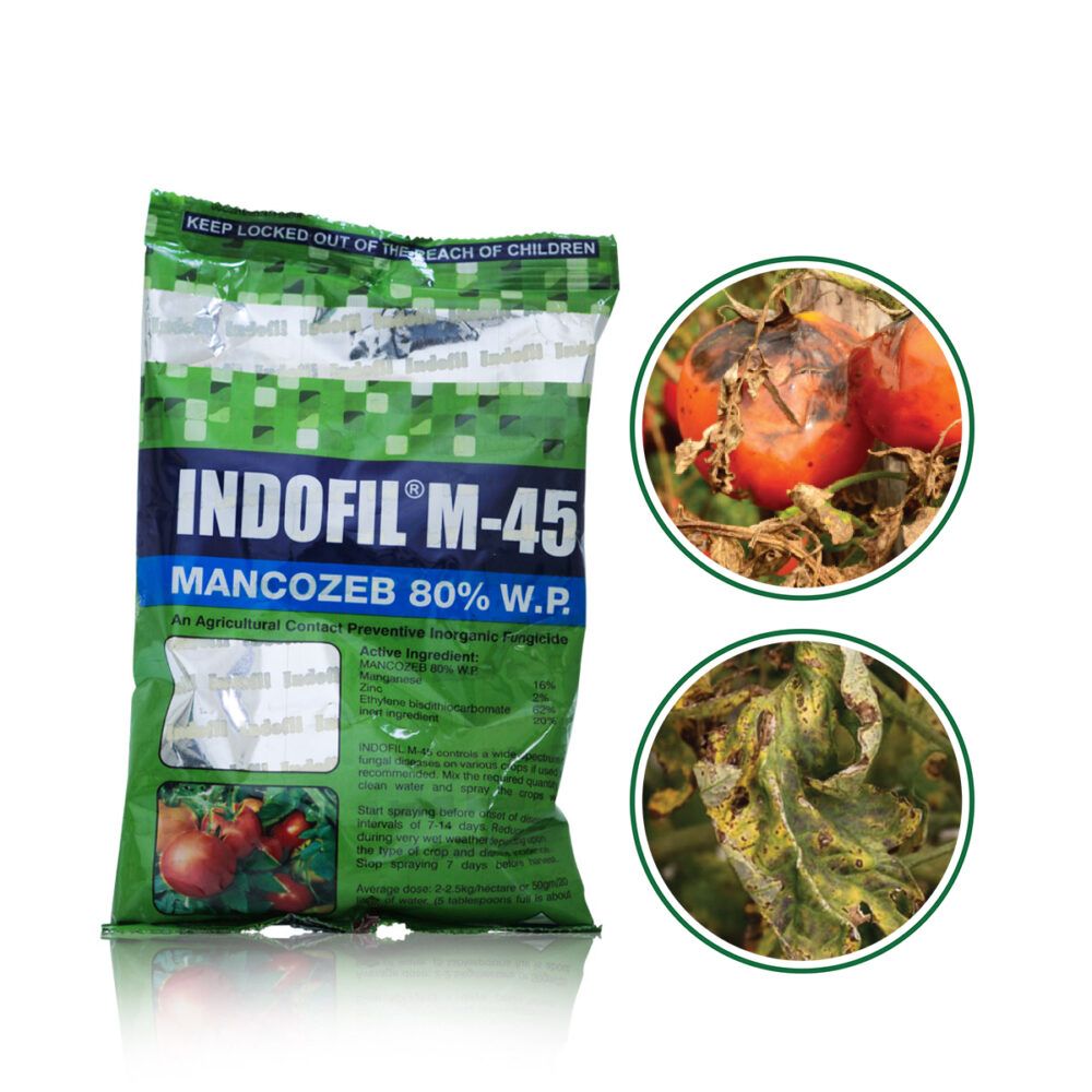 INDOFIL M-45_0