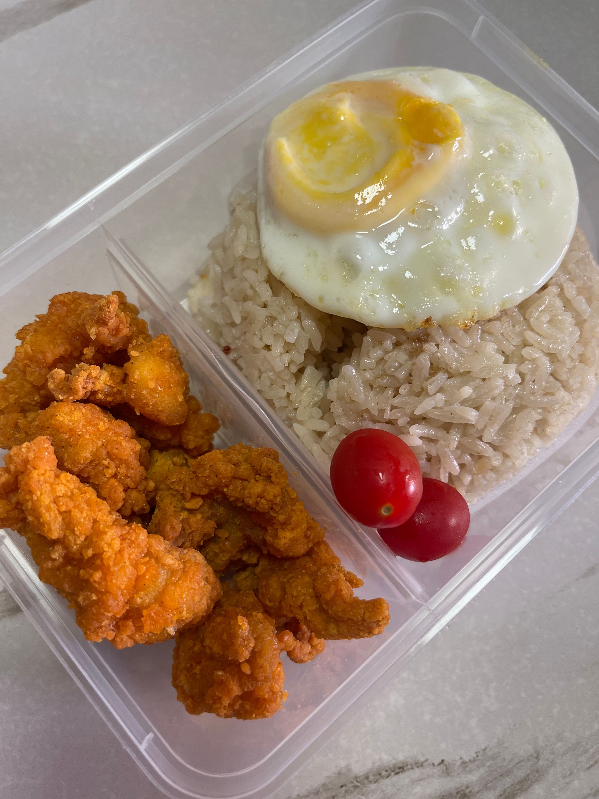 Chicken Rice Bento (Plain)_0