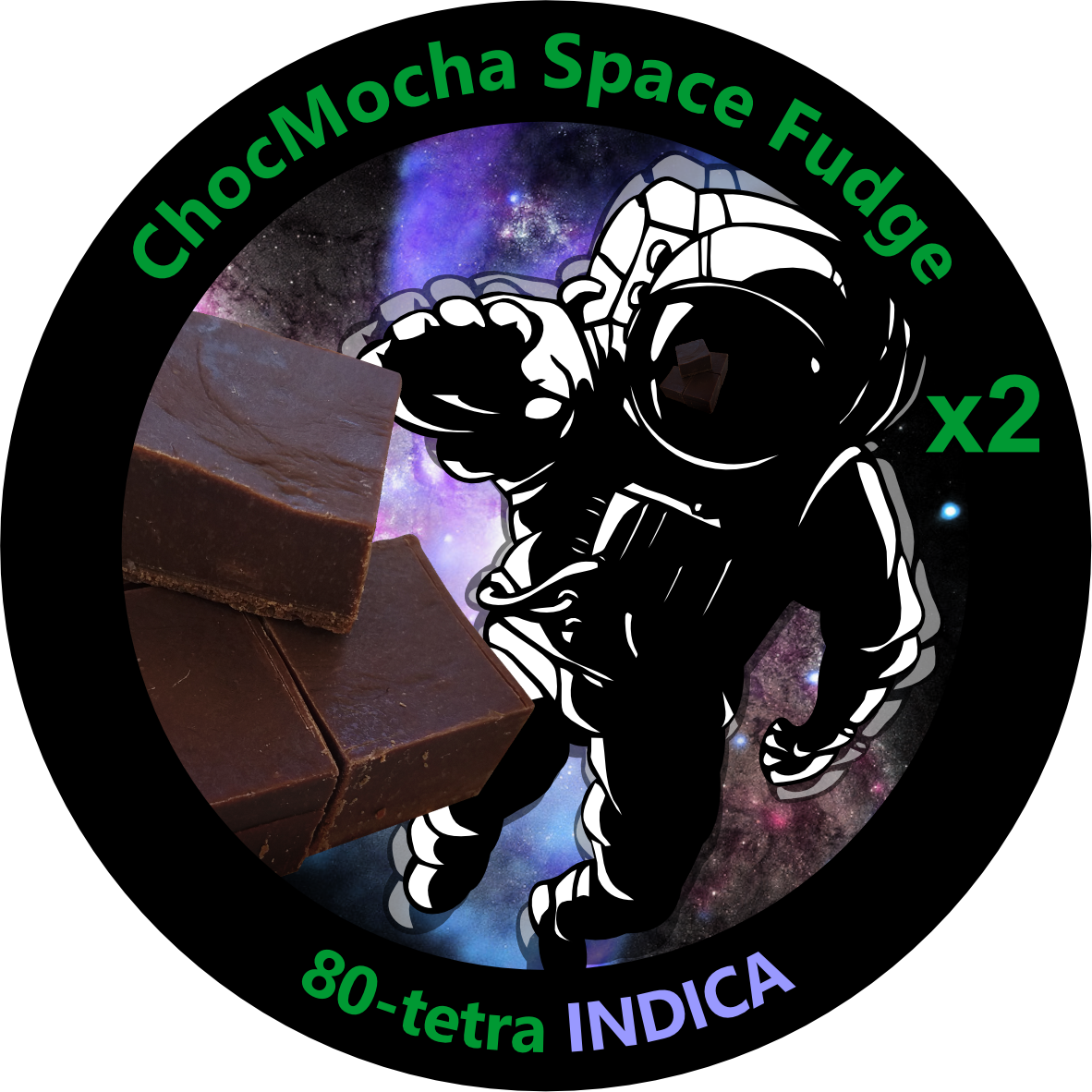 ChocMocha Space Fudge x2_0