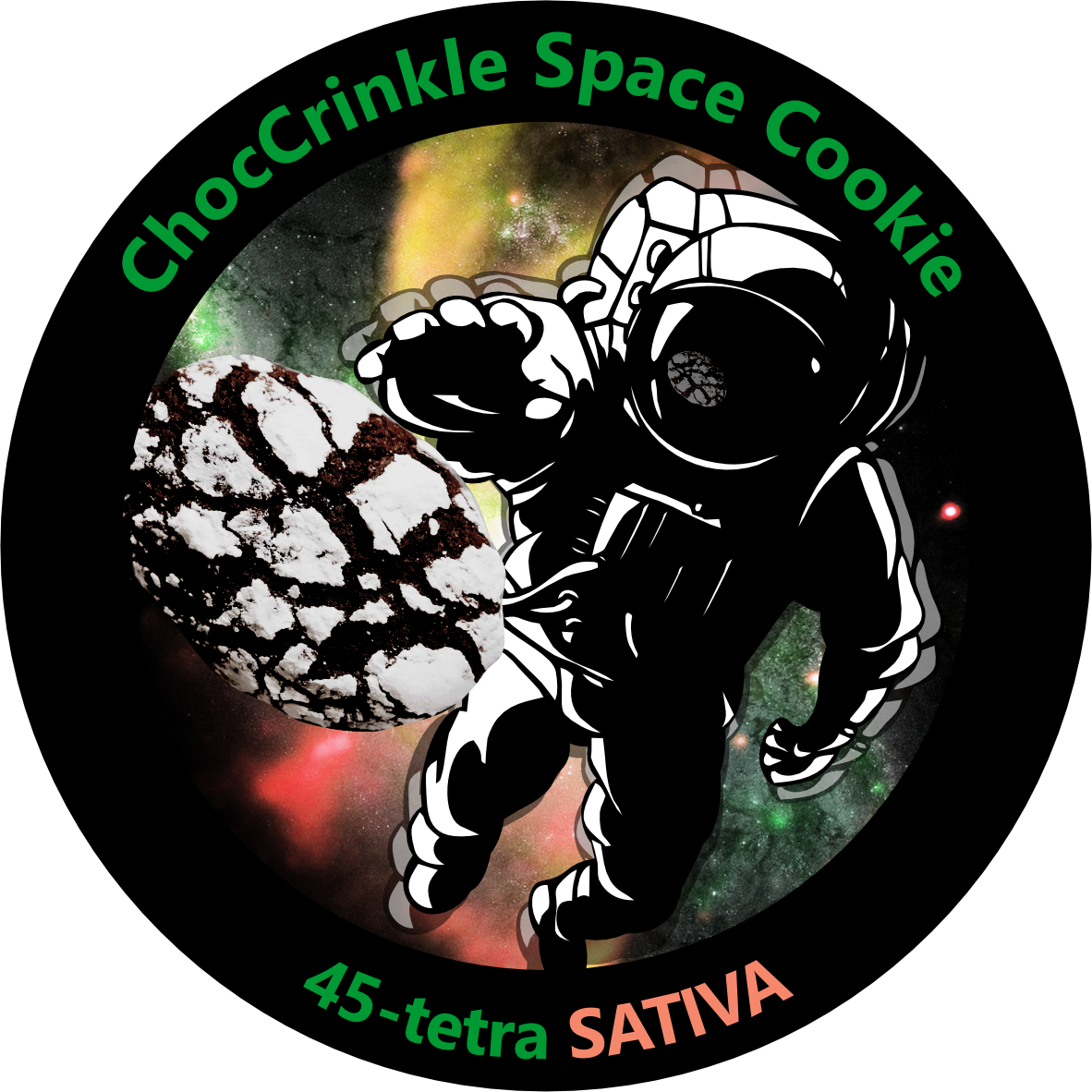 ChocCrinkle Space Cookie _0