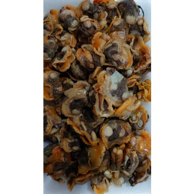 Kerang Darah Kupas 500Gr_1