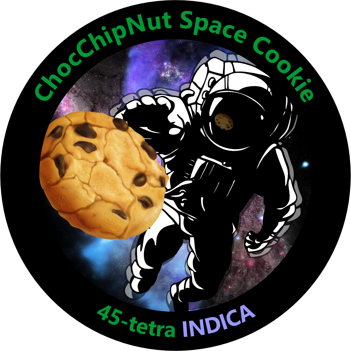 ChocChipNut Space Cookie_0