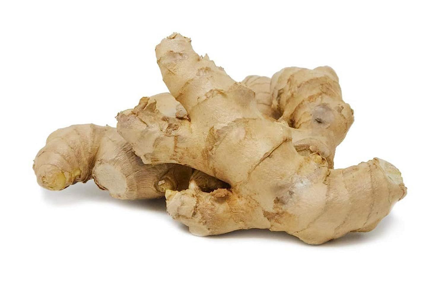 Ginger (blue buckets)_0
