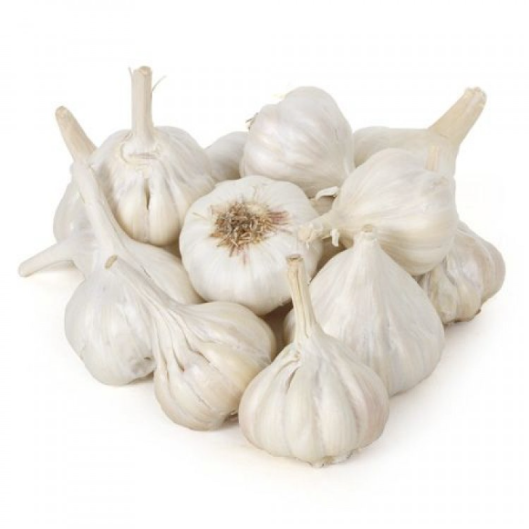 Garlic _0