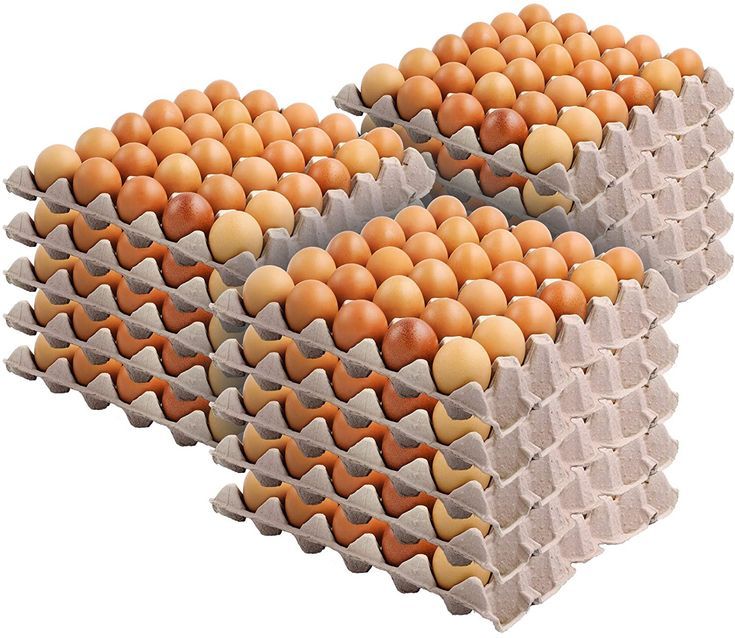 Eggs crate _1