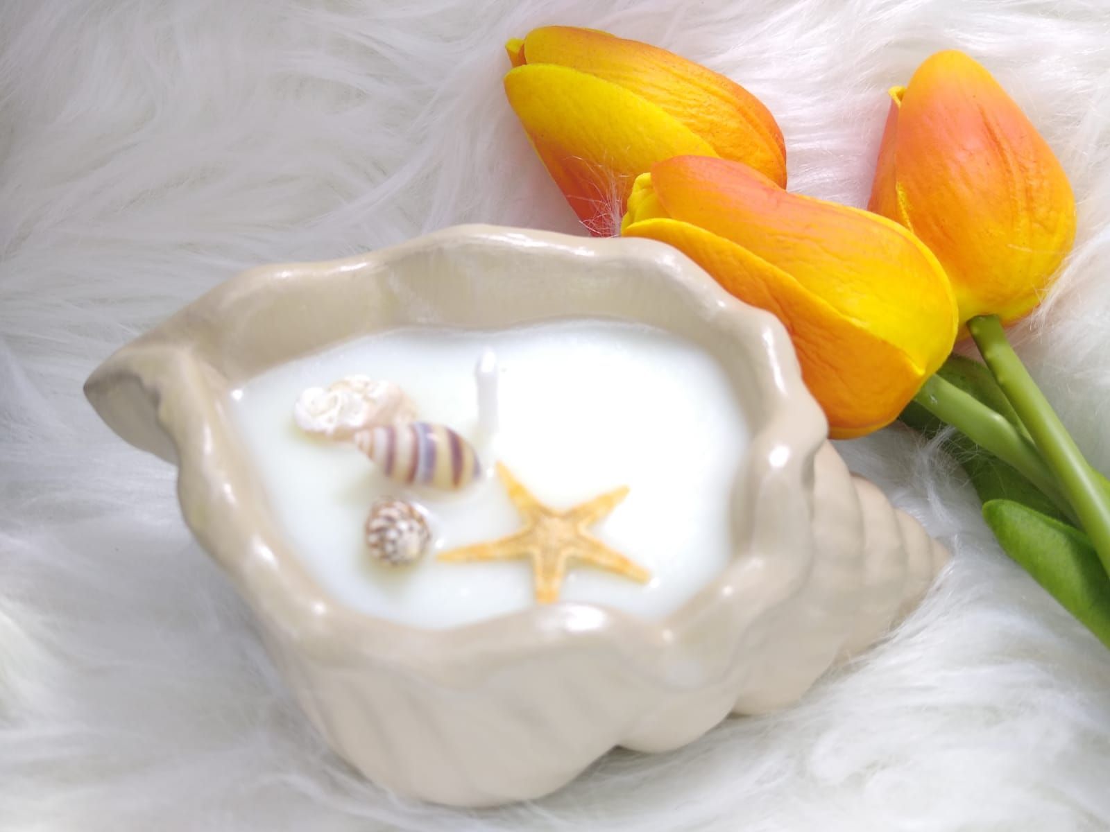 Sea Shell Candle_0