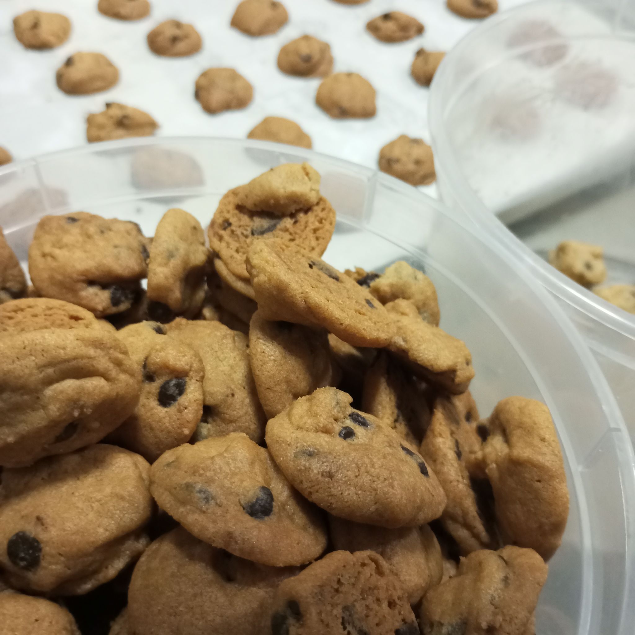 Classic Chocolate chips cookies_0