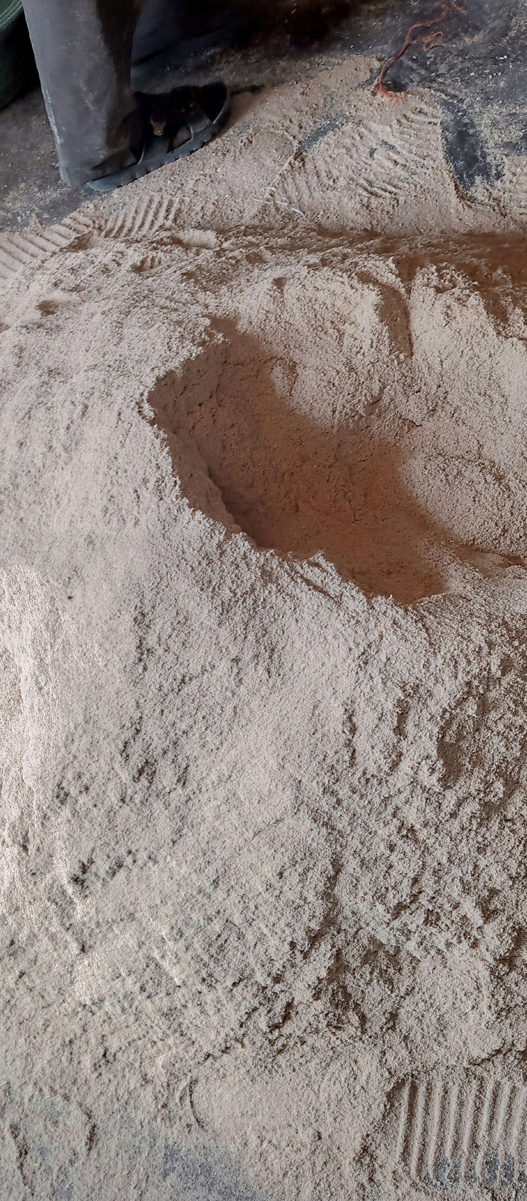 Rice bran_1