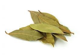 Hoja De Laurel_0