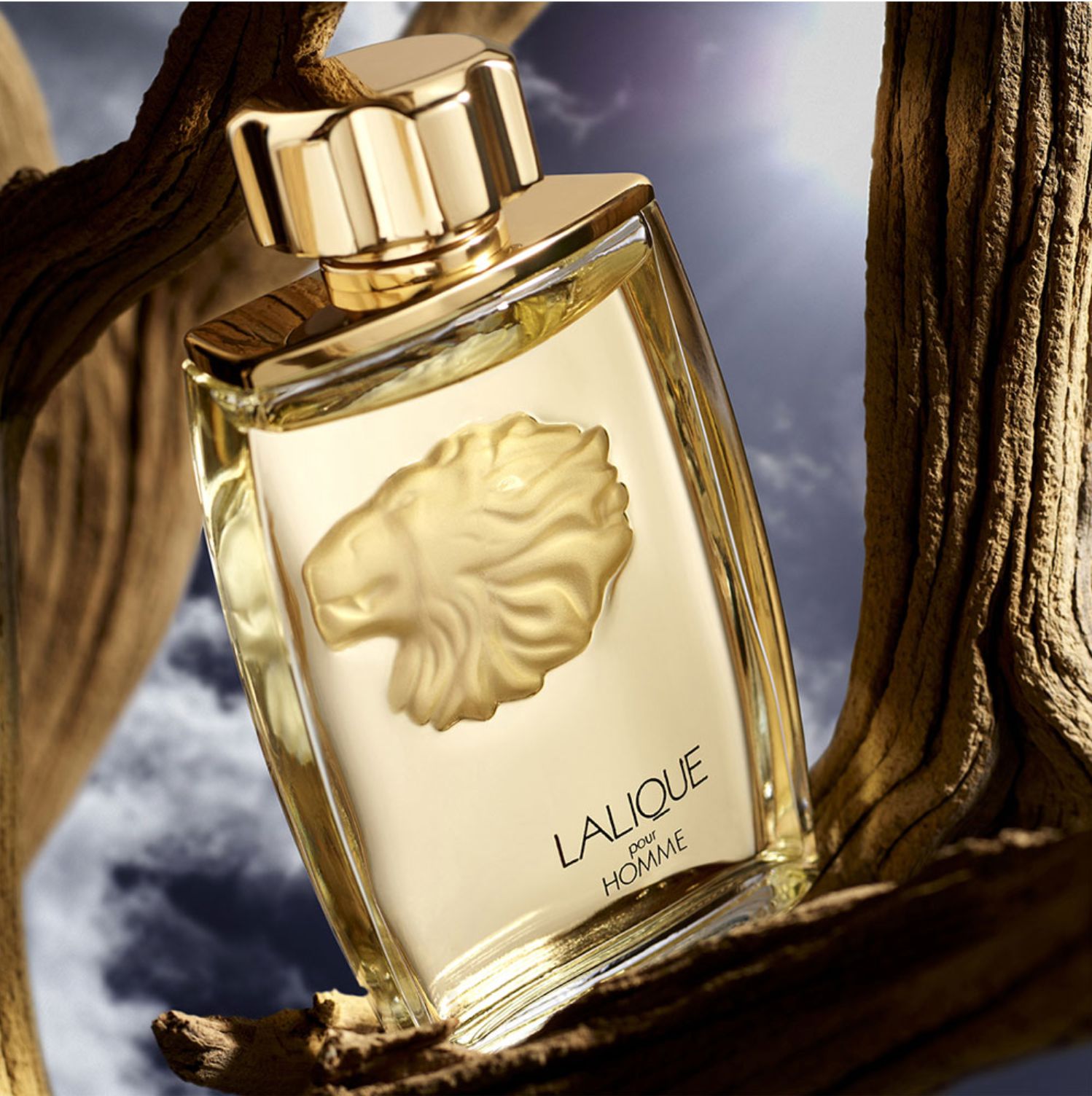 Lalique pour Homme_1