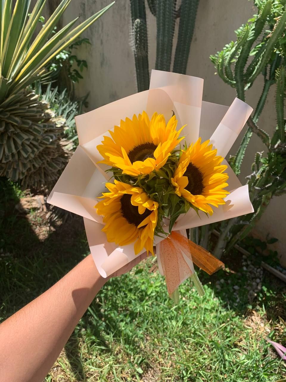 3 girasoles_0