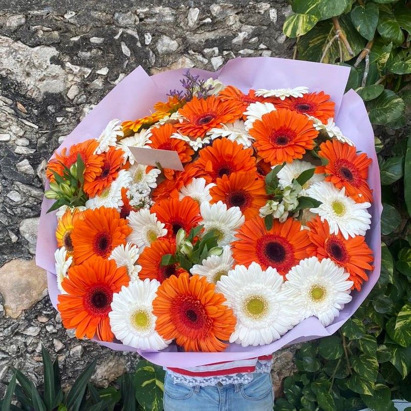 50 gerberas_2