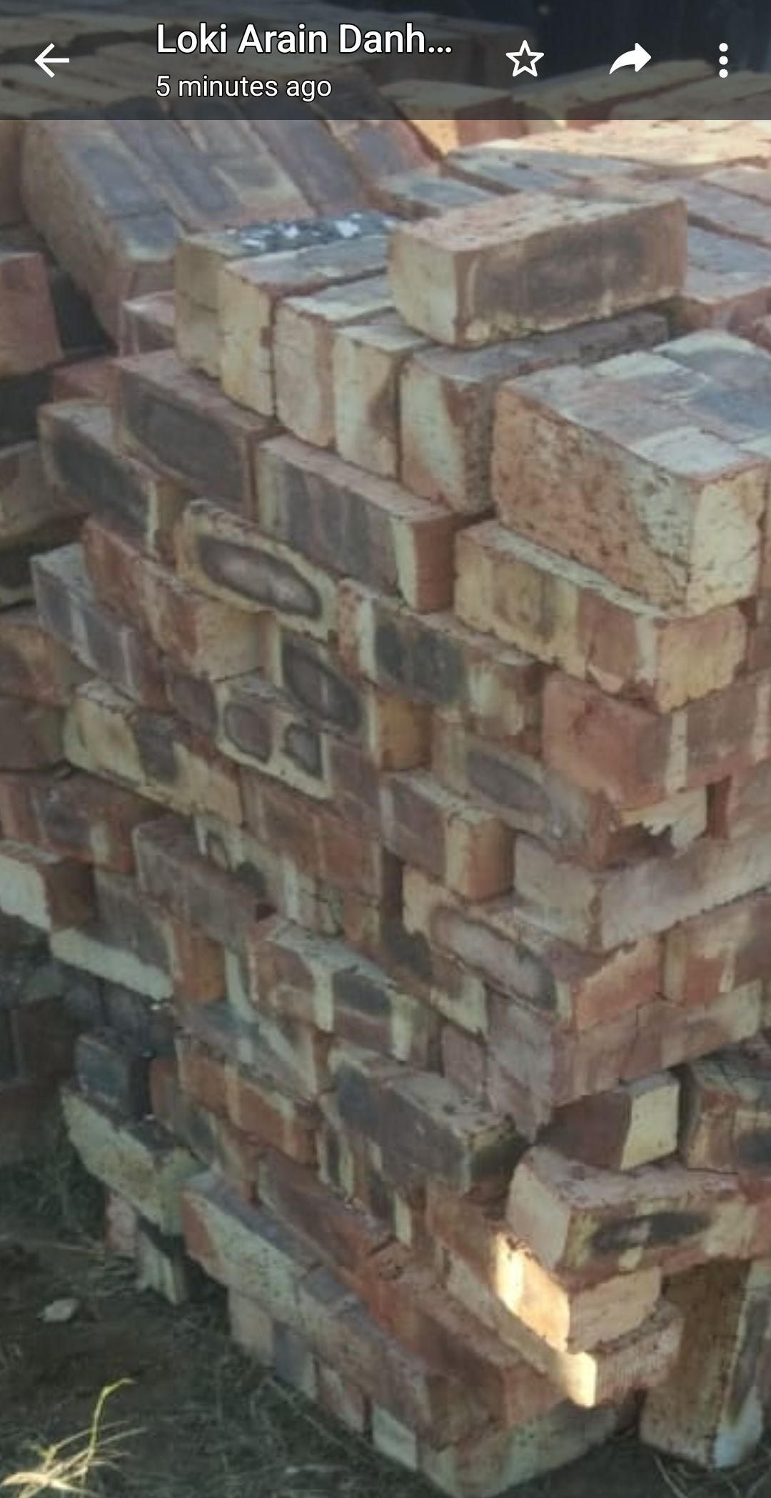 Red clay stocks bricks _0