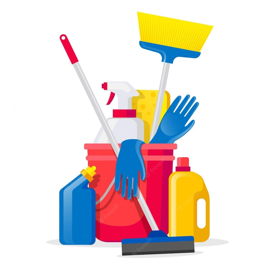 Domestic Cleaning Services _0