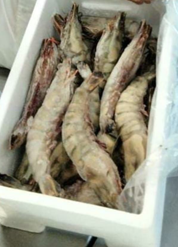 Jumbo Tiger Prawn Hoso 6/8_1