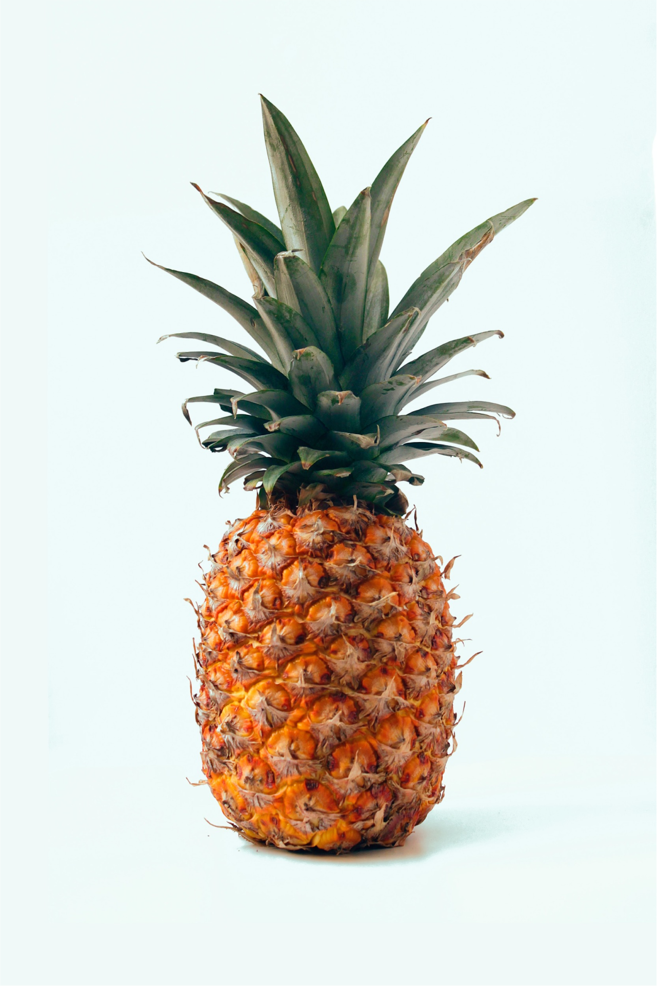 Pineapple_0