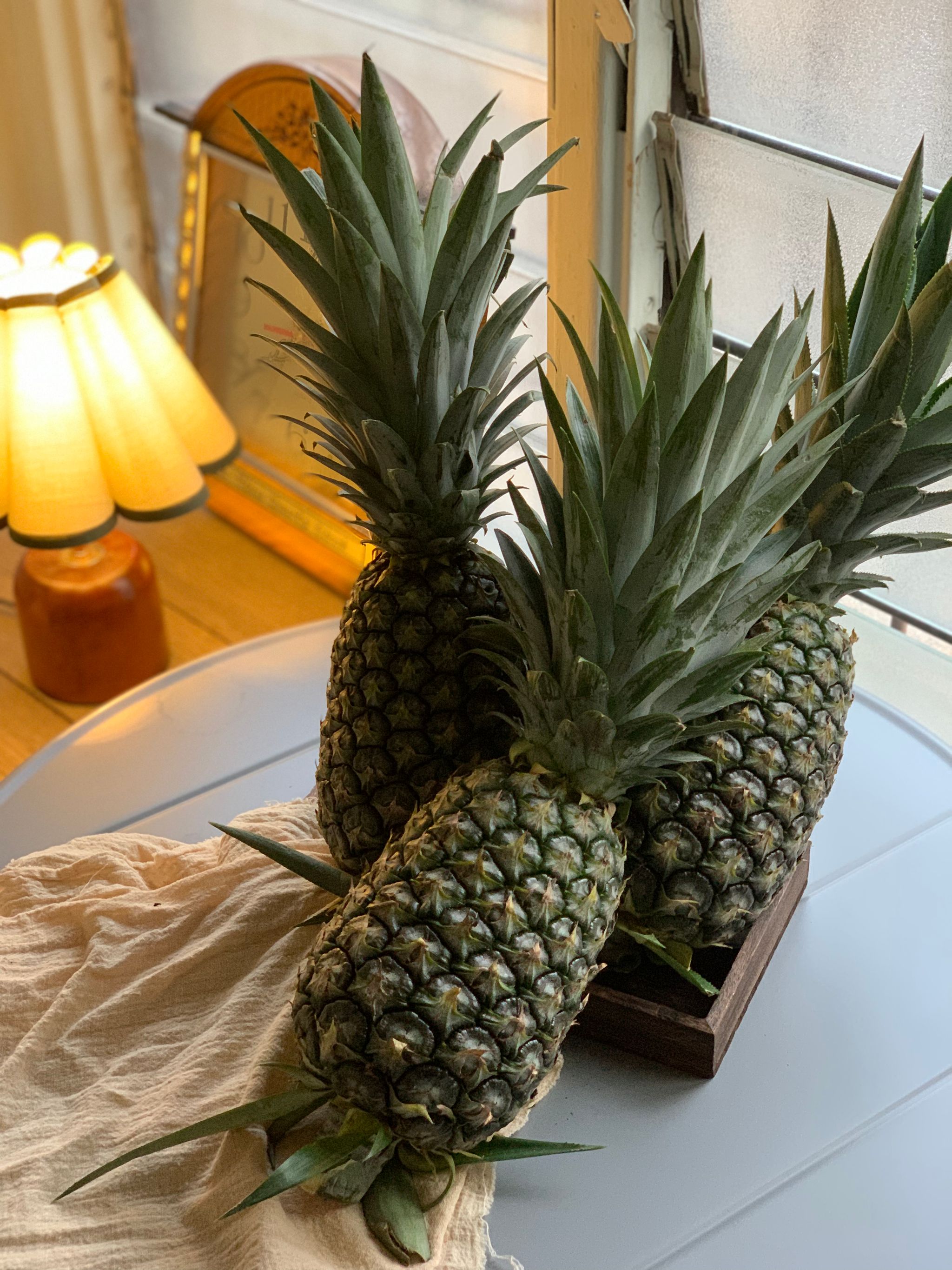 Pineapple MD2 _0