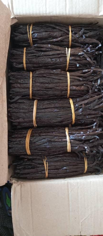 Premium Gourmet Vanilla Beans - Bulk/kg_1