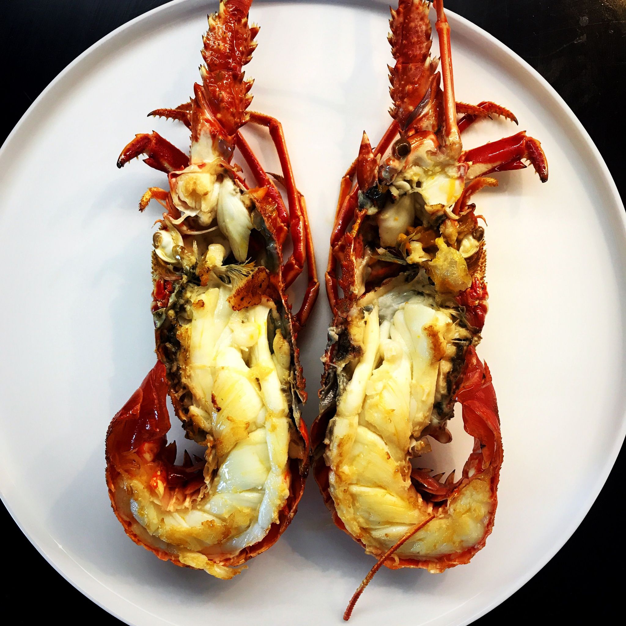 GRILL LOBSTER_0