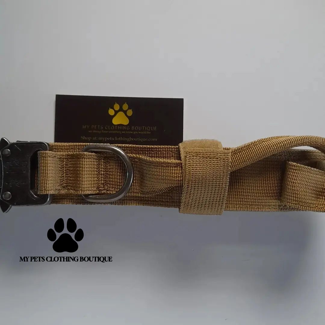 Tactical Dog Collar_1