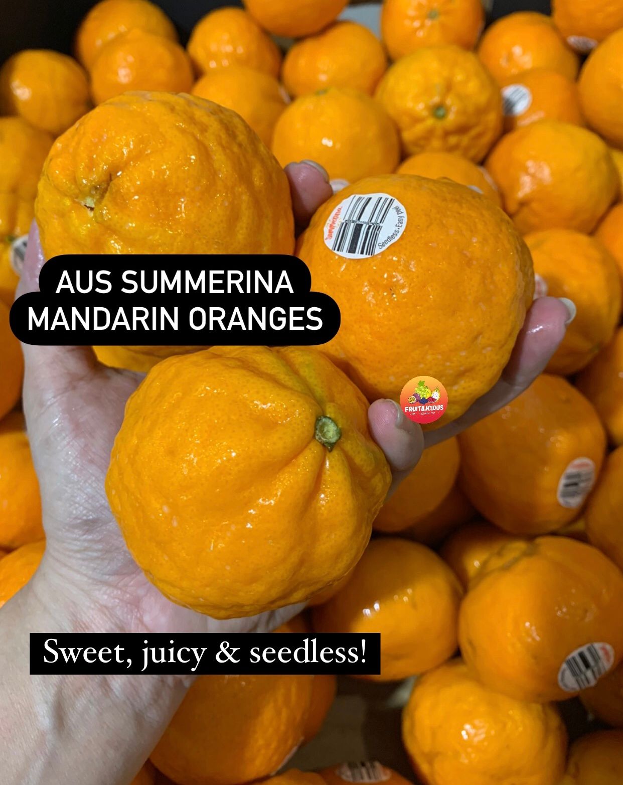 AUS SUMMERINA MANDARIN ORANGES_2