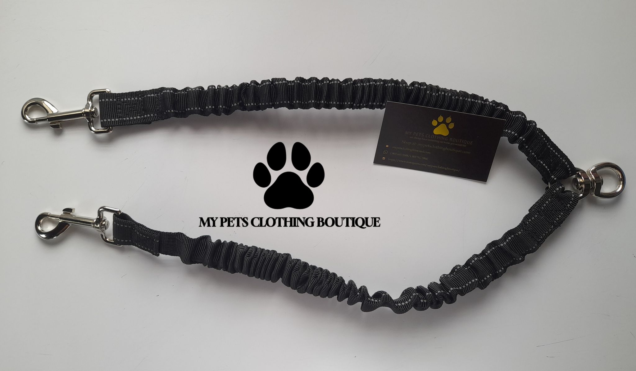 Double Dog Leash _1