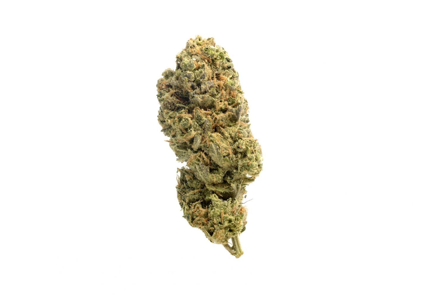 Grapefruit Super Star_0