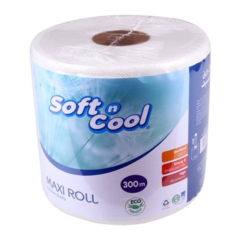 Soft N Cool Paper Maxi Roll 2Ply_1