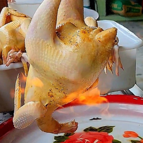 Ayam Kampung Segar_0