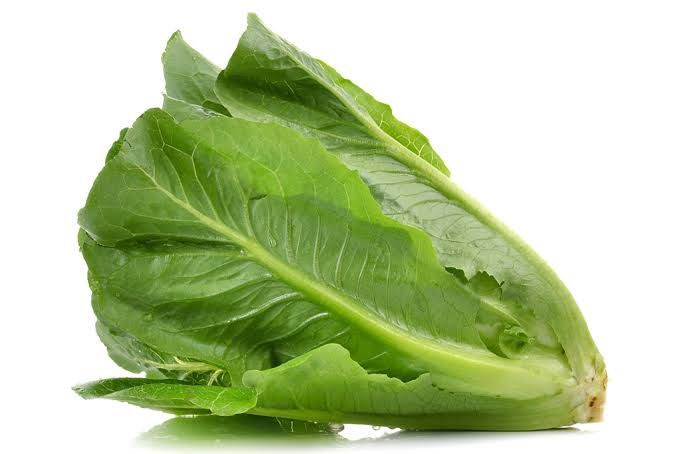 Romaine_0