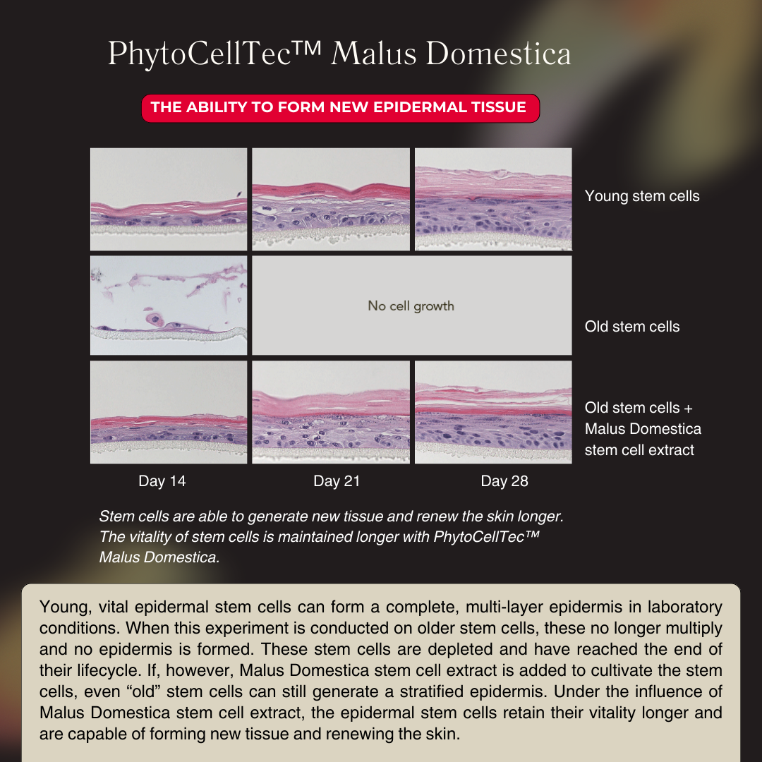 CICA SKIN: Phytocean Repair Booster _5