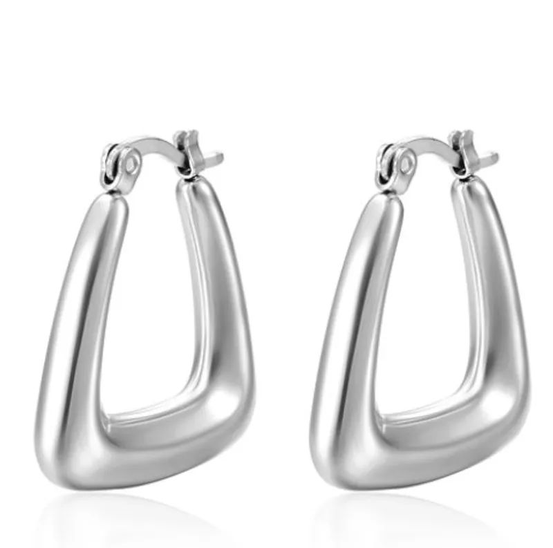 Stainless Steel Plating Earrings _0