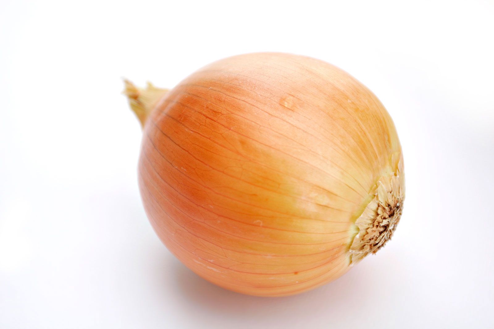 Onions_0