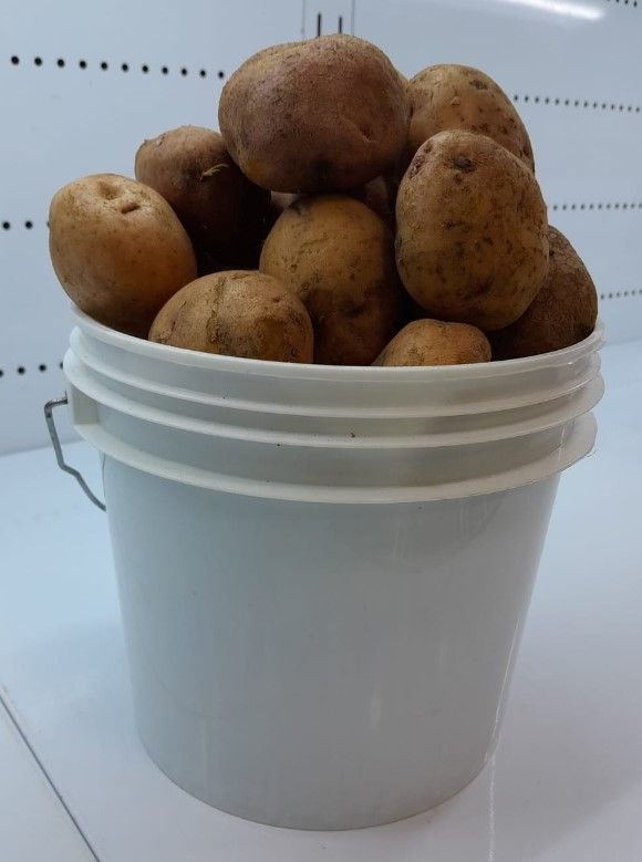 POTATOES_0