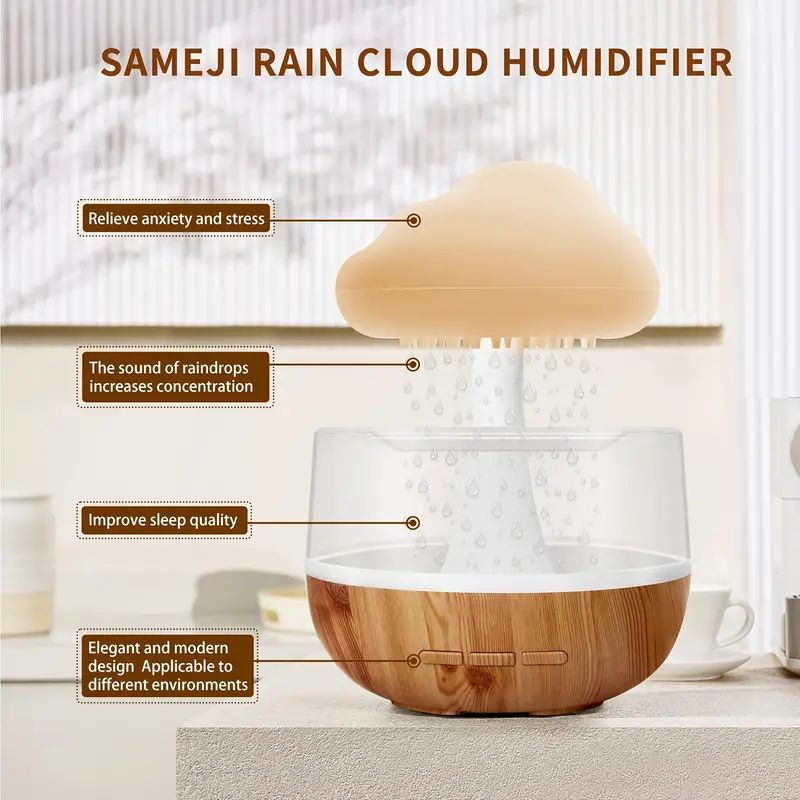 Rain Cloud Humidifier_2